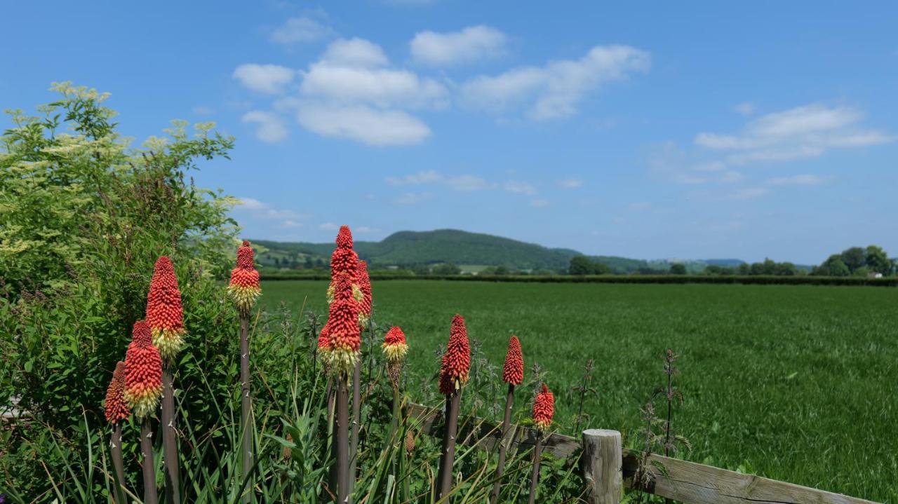 Country Cottage With Far Reaching Views Presteigne Extérieur photo